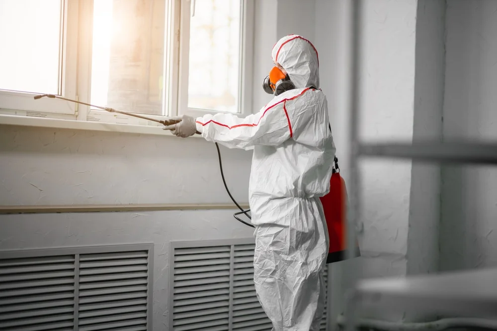 Professional mold remediation services in Arp, TX